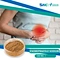 SNC | Good Fortune is a professional Esomeprazole Sodium supplier in China supplies all kinds of healthy ingredient.